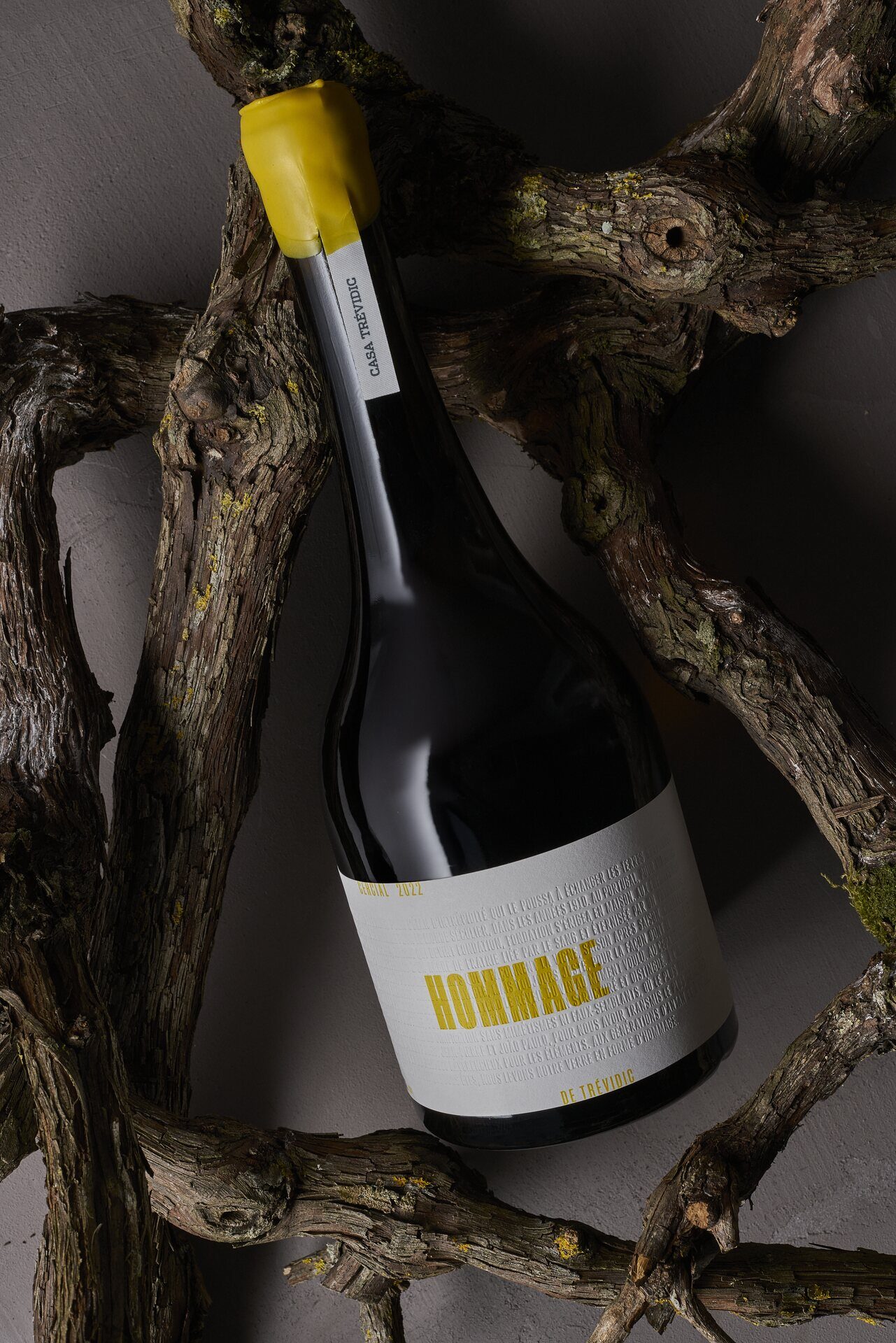 Hommage white wine resting on vine wood